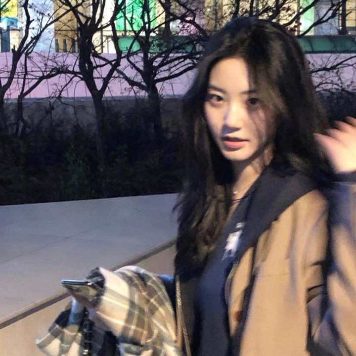 大白鲨4