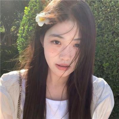 美国豚鼠